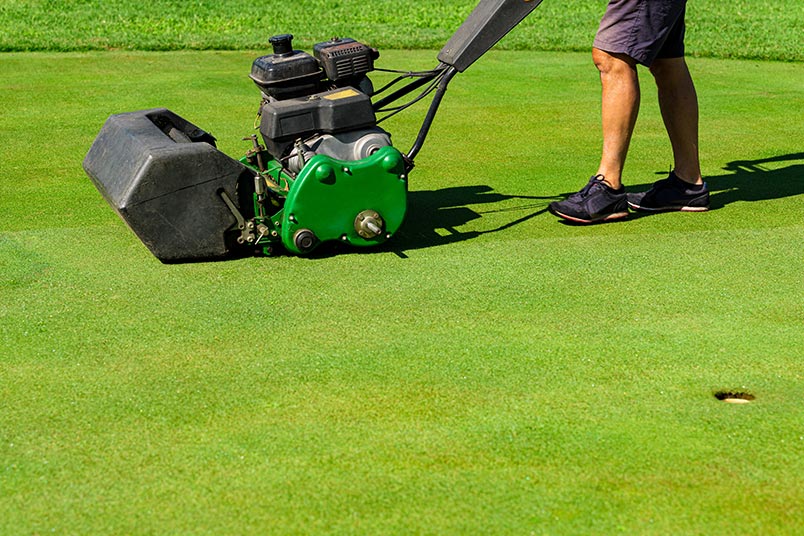 grooming-the-golf-greens