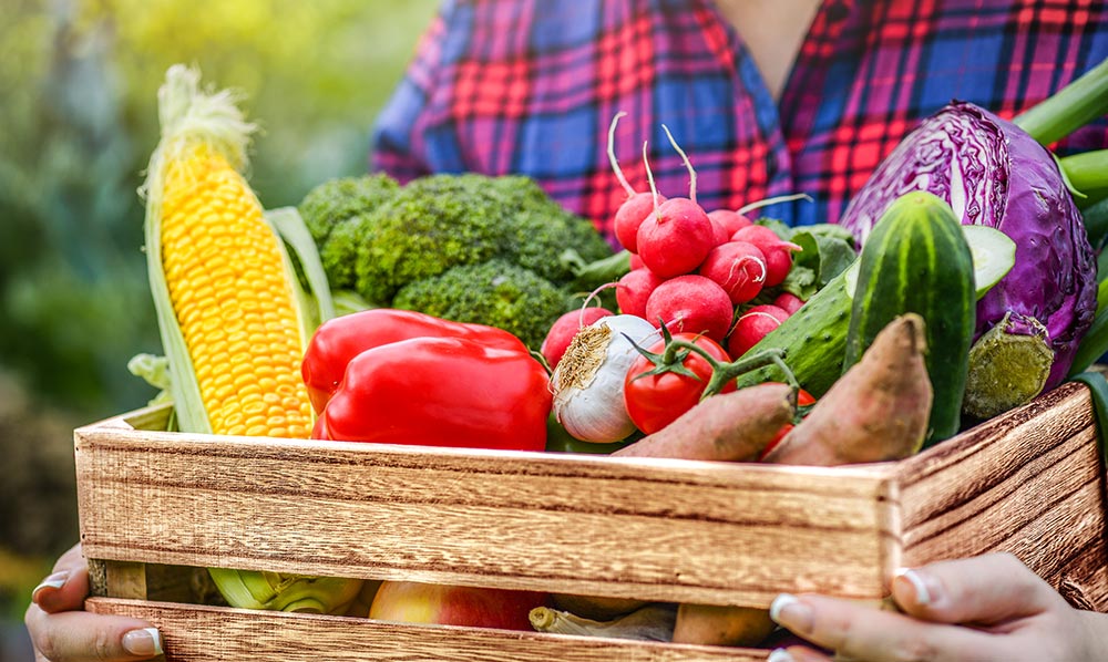 woman-holding-basket-of-fresh-vegetables